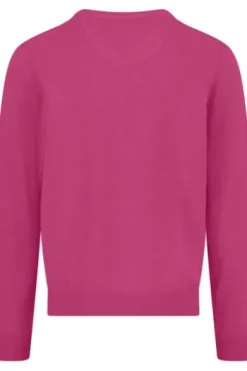 FYNCH HATTON V-Ausschnitt Pullover malaga Casual Fit