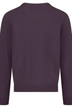FYNCH HATTON V-Ausschnitt Pullover aubergine Casual Fit