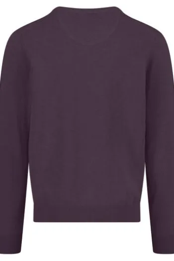 FYNCH HATTON V-Ausschnitt Pullover aubergine Casual Fit