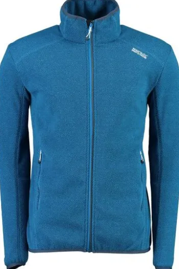 REGATTA Fleece-Jacke Torrens blau